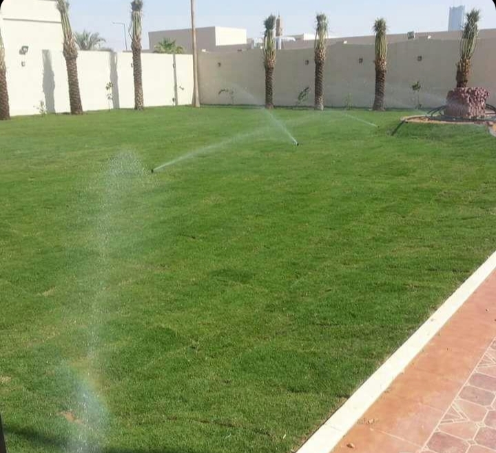 صورة توضيحية